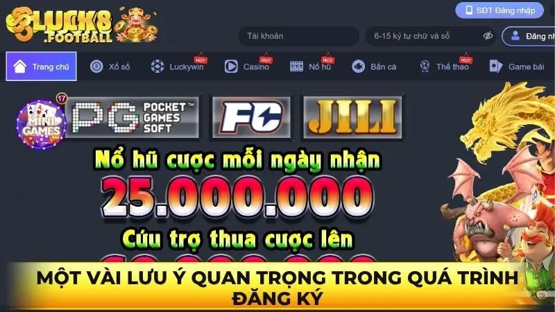 Một vài lưu ý quan trọng trong quá trình đăng ký