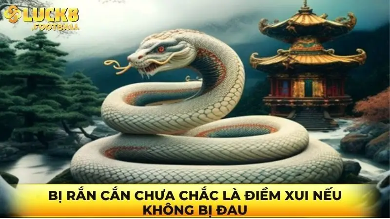 Bị rắn cắn chưa chắc là điềm xui nếu không bị đau